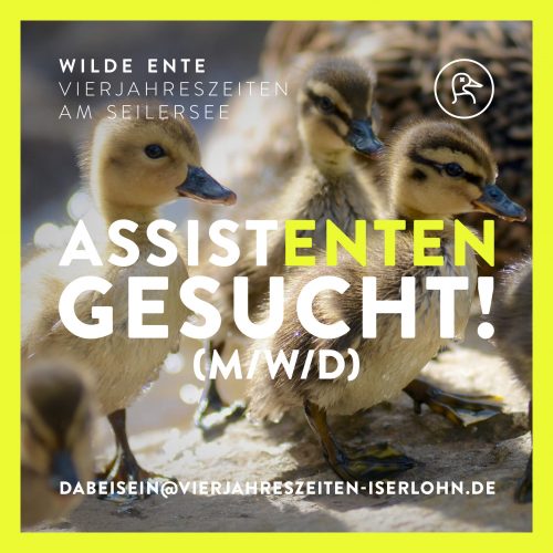 WE Aushilfen gesucht V3